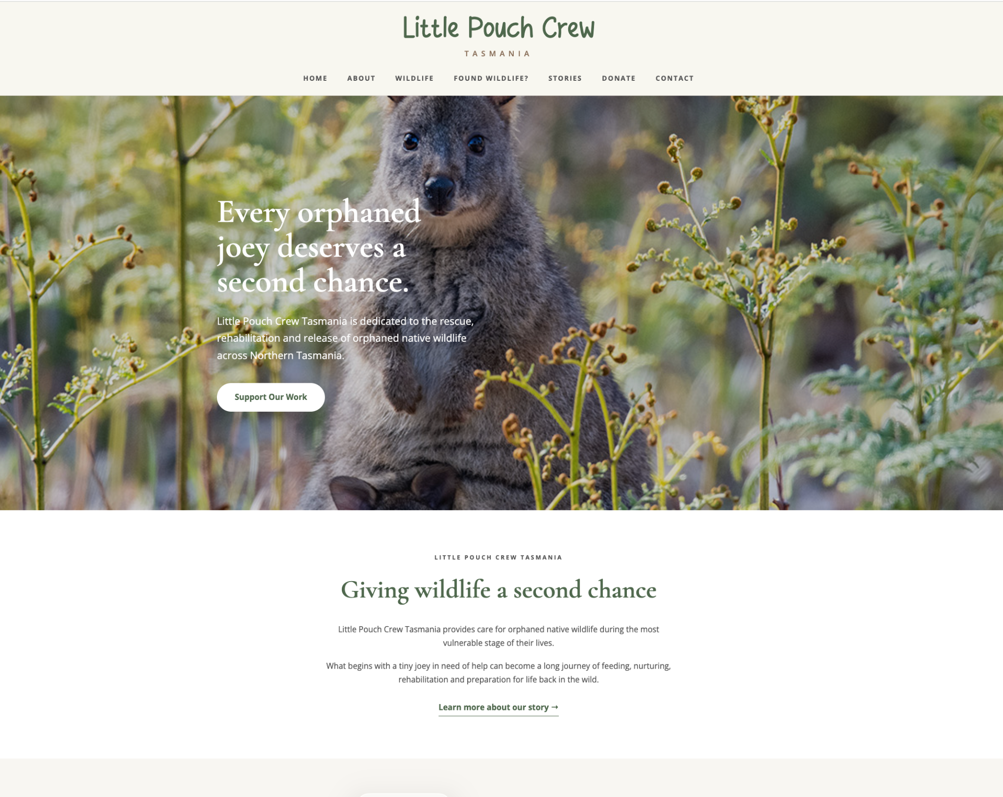 Little Pouch Crew website screenshot